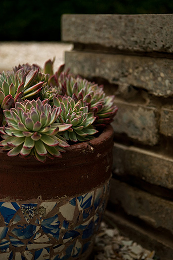 Shirley Watts Landscaping